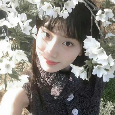 安恰丽